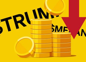 Cathie Wood ve valor potencial en la controvertida moneda meme de Trump