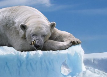 ¿Ruptura o nuevos máximos? Bitcoin en una encrucijada