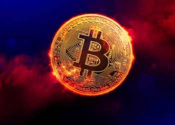 Wall Street Pepe ($WEPE): La nueva criptomoneda que está causando sensación