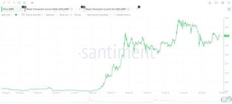 Movimientos de las ballenas y aumento de precio de XRP