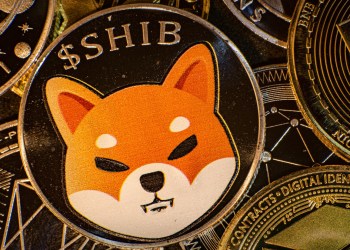 ¿Qué pasará con Shiba Inu? La actividad de las ballenas cae un 79%