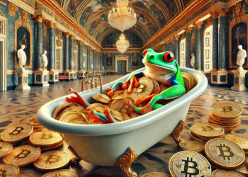 Los inversores más ricos apuestan por las criptomonedas: ¡Descubre las monedas meme con mayor potencial!