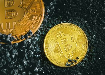 Los holders a largo plazo de Bitcoin reanudan la acumulación en medio de la caída de precios
