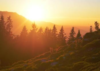 ¿Podrían 1,000 XRP Asegurar tu Futuro? Predicciones Audaces Sacuden el Mundo de las Criptomonedas