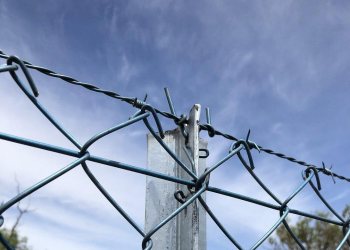 Chainlink (LINK): ¿Soporte o Resistencia? Análisis de Precios Clave