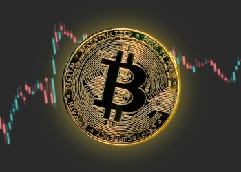 ¿Inversores de Bitcoin Reteniendo a pesar del ATH? El Misterio de los Flujos a Binance