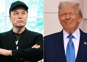 Musk vs. Trump: La guerra que hundió a Dogecoin y sacudió a Tesla