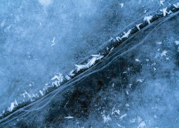 Tether Congela $12.3 Millones en USDT: Ataque a Lavado de Dinero y Sanciones