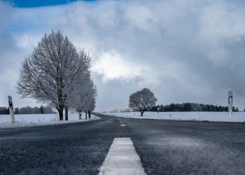 ¿Se Acaba el Impulso de XRP?  Analistas Divididos Ante Caída On-Chain