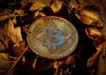 Elon Musk’s SpaceX Moves Bitcoin Holdings For The First Time In 3 Years, Here’s Where It Went