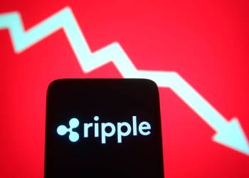 Ripple CEO Sounds Alarm: If You’re An XRP Investor, You Should See This