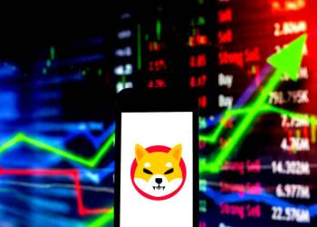 Shiba Inu Price Could See 180% Explosion As This Indicator Flashes Bullish Divergence