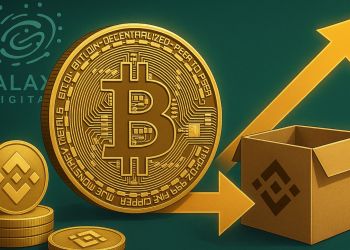 Ballena de Bitcoin Desata Incertidumbre: ¿Corrección Inminente?