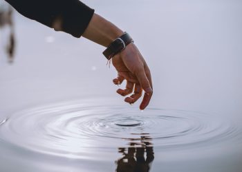 Don’t Hold Back—Expert Recommends Full Stake In XRP