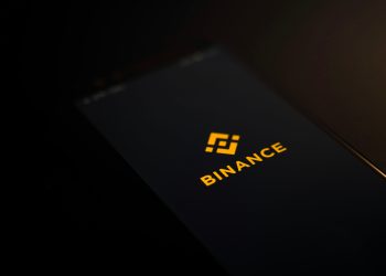 Big Money Enters BNB, Pushing Crypto To $801 ATH—Details