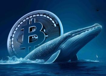 Αγόρασε Bitcoin με $54.000 το ’11 και τώρα τα πούλησε για $9,6 δισ.