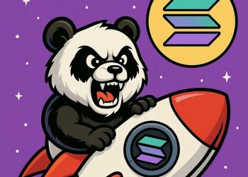 Snorter: La Revolución de las Monedas Meme en Solana y su Potencial