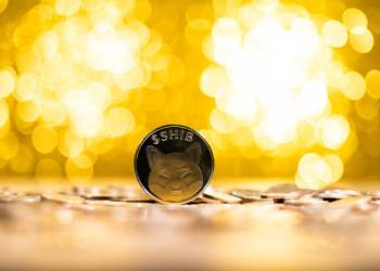 Shibarium se transforma: Más allá de la Capa 2 y rumbo a un futuro descentralizado