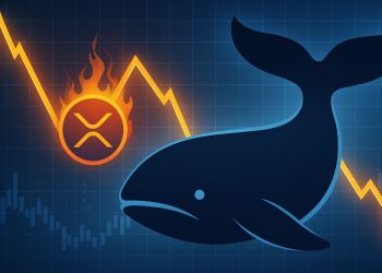 XRP: ¿Corrección a la Vista? Las Ballenas Emiten Señales de Alerta