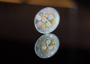 Market Cap Not A Hindrance To XRP Price Reaching $1,000, Expert Explains Why