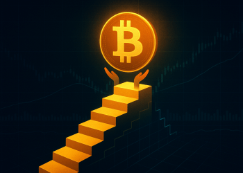 Análisis On-Chain: Inversores de Bitcoin Resisten la Caída, ¿Qué Sigue?