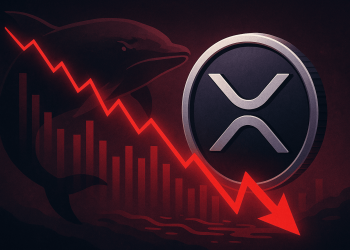 Ripple Transfiere 15M XRP: ¿El Comienzo de una Nueva Era?