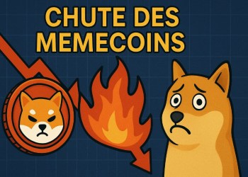 Shibarium en la Mira: El Ataque que Sacudió el Mundo de las Memecoins