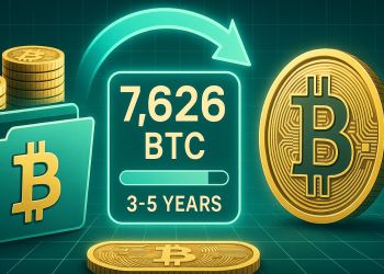 Bitcoin se tambalea: ¿Corrección profunda o nuevo máximo histórico?