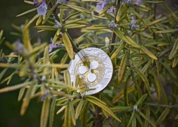 XRP al Límite: ¿Ruptura inminente o corrección a la baja?