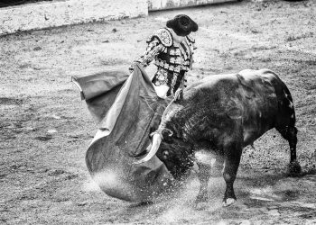 XRP: ¿Rumbo a los Tres Dígitos? Un Análisis Explosivo con el Bitcoin como Catalizador