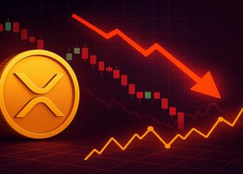 XRP DEX Volumes Surge As Price Plunges: Smart Money Accumulating?