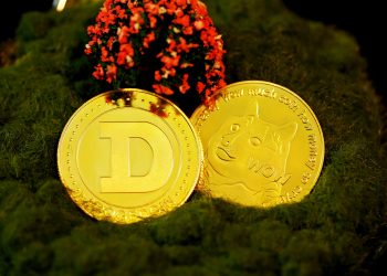 Dogecoin Whales Quietly Accumulate Over 320 Million Coins — What’s Coming Next?