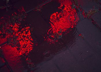 Crypto Crash: $19.5 Billion Wiped Out In Record-Breaking Liquidation Event