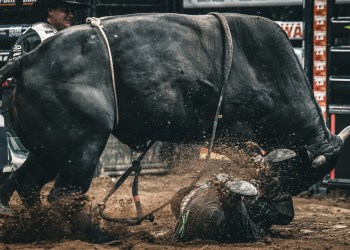 Ethereum Beware — Analyst Says XRP’s Next Bull Run Could Be Deadly