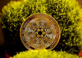 ¿Cardano Muerto? Análisis Revela la Lucha de ADA y el Sentimiento del Mercado