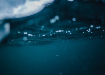 With 42% Of XRP Holders Underwater, Analysts Say The Altcoin Could Crash Even Further