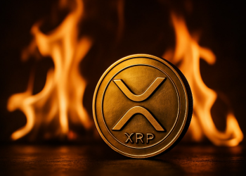 XRP al Despegue: ¿Los ETF al Contado Marcan un Nuevo Capítulo para Ripple?