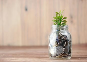 Familias Ultra-Ricas Acumulan XRP: ¿El Comienzo de una Nueva Era?