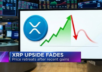 XRP en caída libre: ¿Podrá recuperarse el precio?