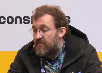 El Fundador de Cardano Predice 6 Meses de Mercado Lento para las Criptomonedas