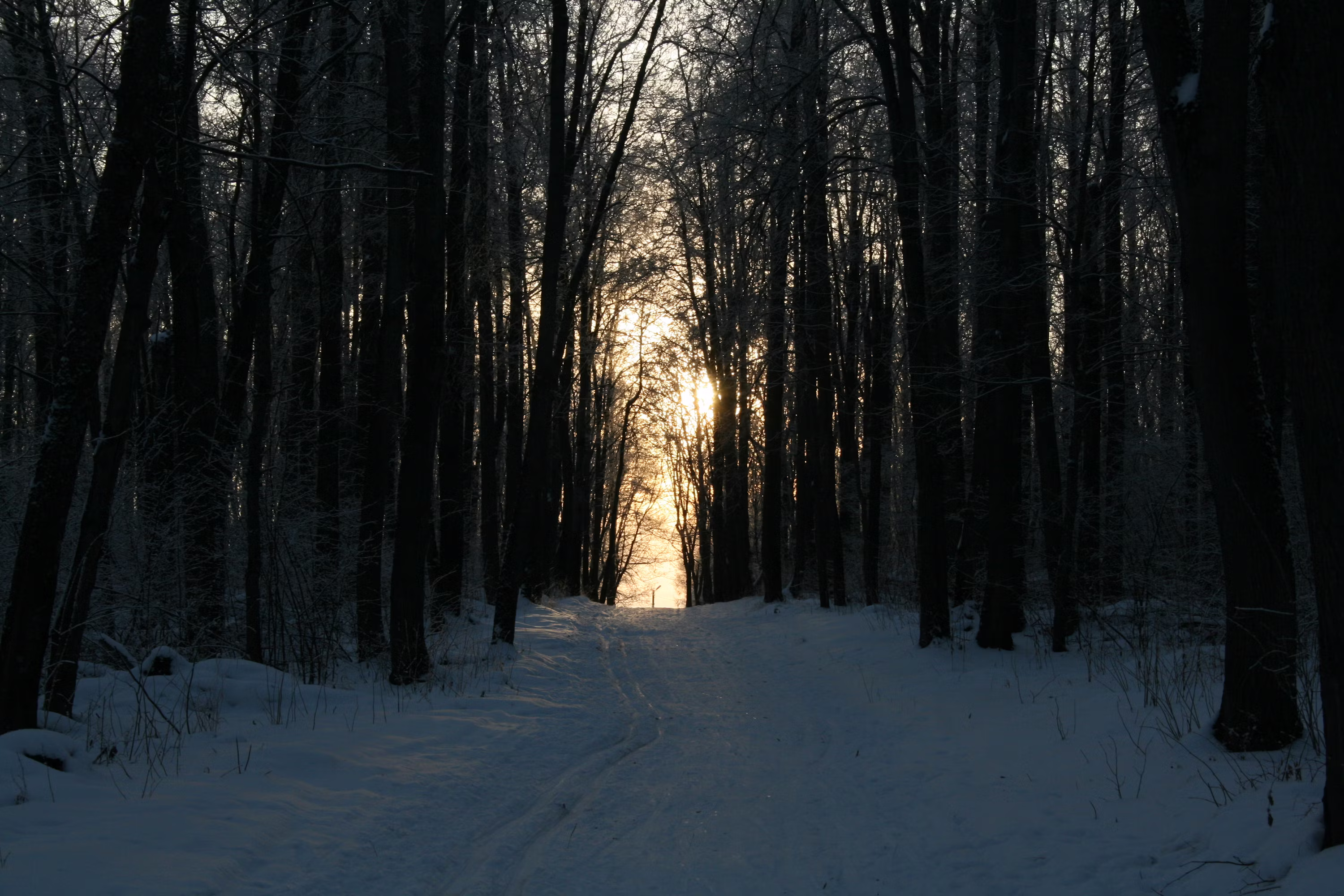 ¿Puede caer el precio de Bitcoin a $41,000? Análisis de la situación actual