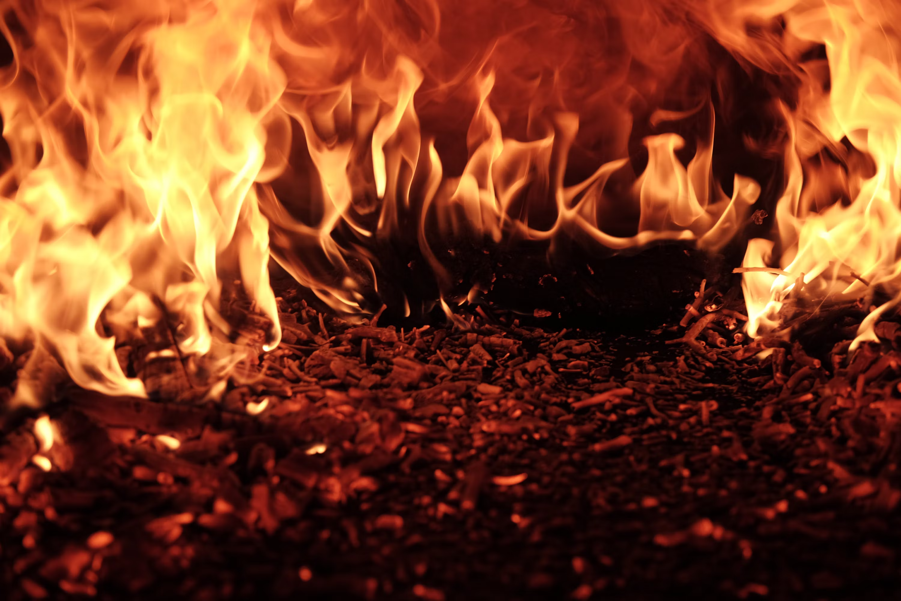 ¿Quién quemó $8.5 M en Bitcoin? Las teorías detrás del mayor burn de 2026