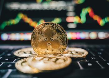 XRP Price Could Return To $1.55 But Only If This Crucial Support Holds