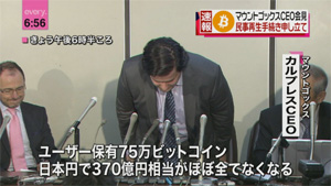 Karpeles Bows Media