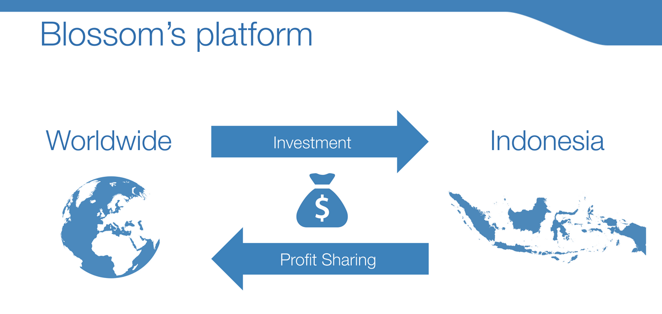 Blossom_Bitcoin_NewsBTC