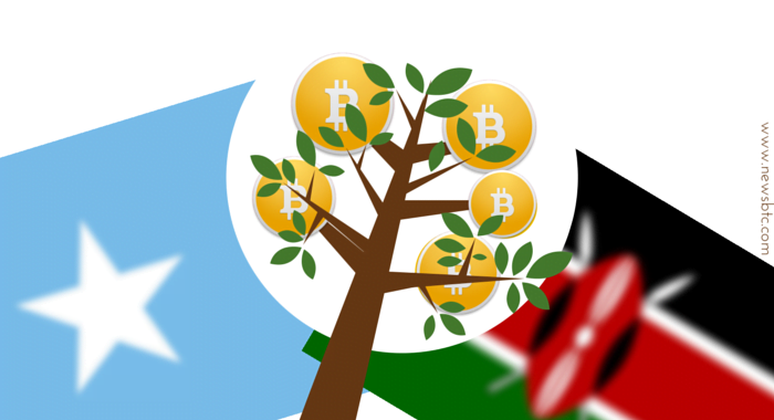 Bitcoin for the Third World Economy