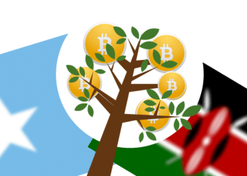Bitcoin for the Third World Economy