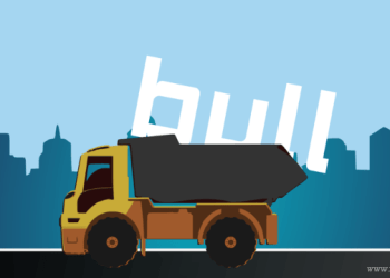 DOGECOIN PRICE BULL RIDE