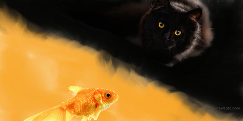 Dash Price at Potentially Significant Risk