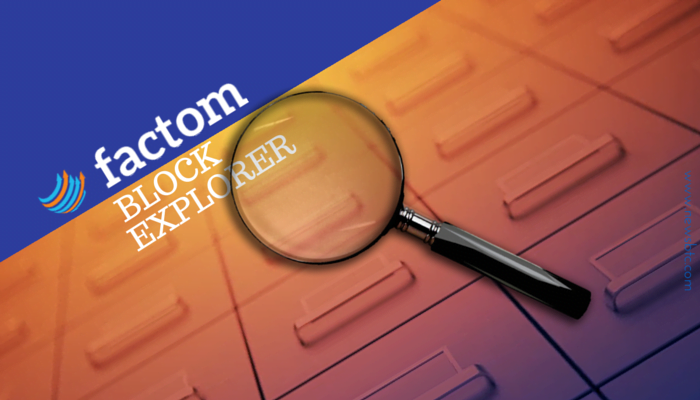 Factom Block Explorer Revealed